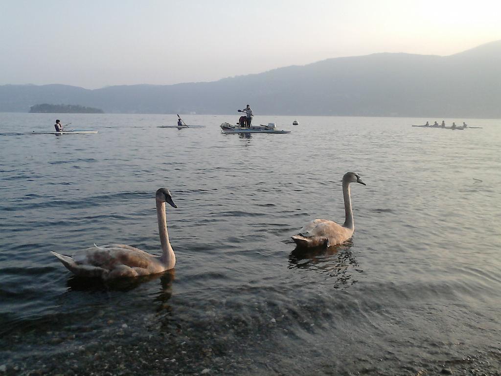 B&B Il Castello Lago Maggiore Con Terrazza Cossogno Ngoại thất bức ảnh